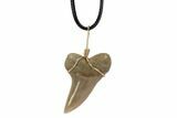 Fossil Mako Tooth Necklace - Bakersfield, California #95251-1